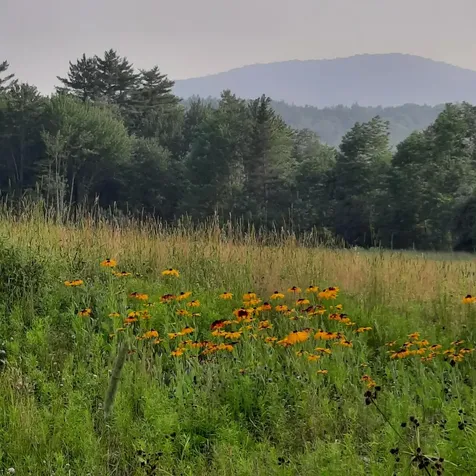 321 Center District Road Sugar Hill NH 03586
