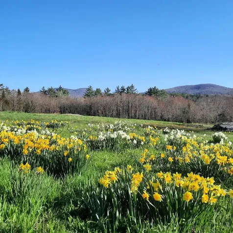 321 Center District Road Sugar Hill NH 03586