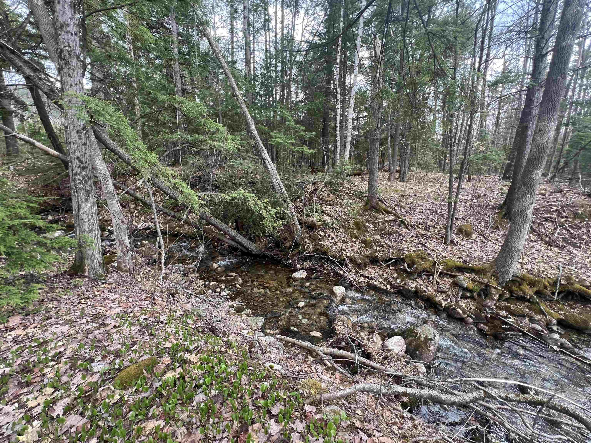 266 Thompson Road Conway NH 03860