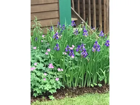 25 Baycrest Drive South Burlington VT 05403