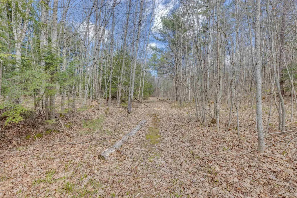 3/14 Lloyd Street Campton NH 03223