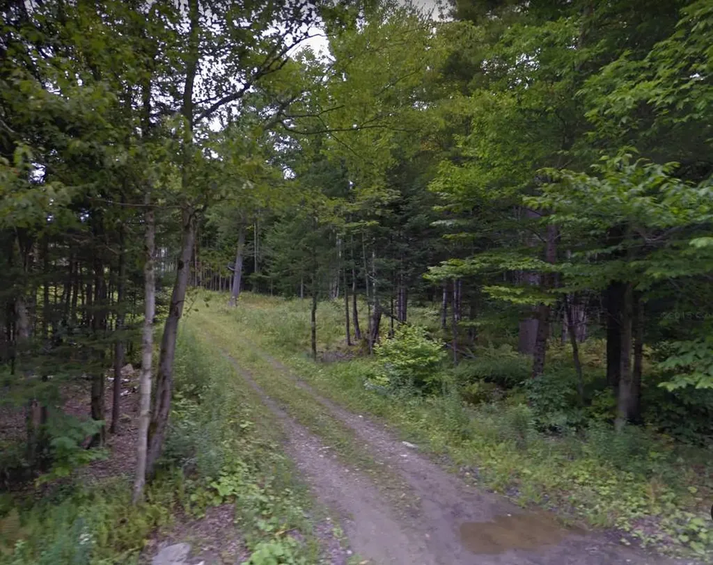 0 Robinson Springs Road Stowe VT 05672