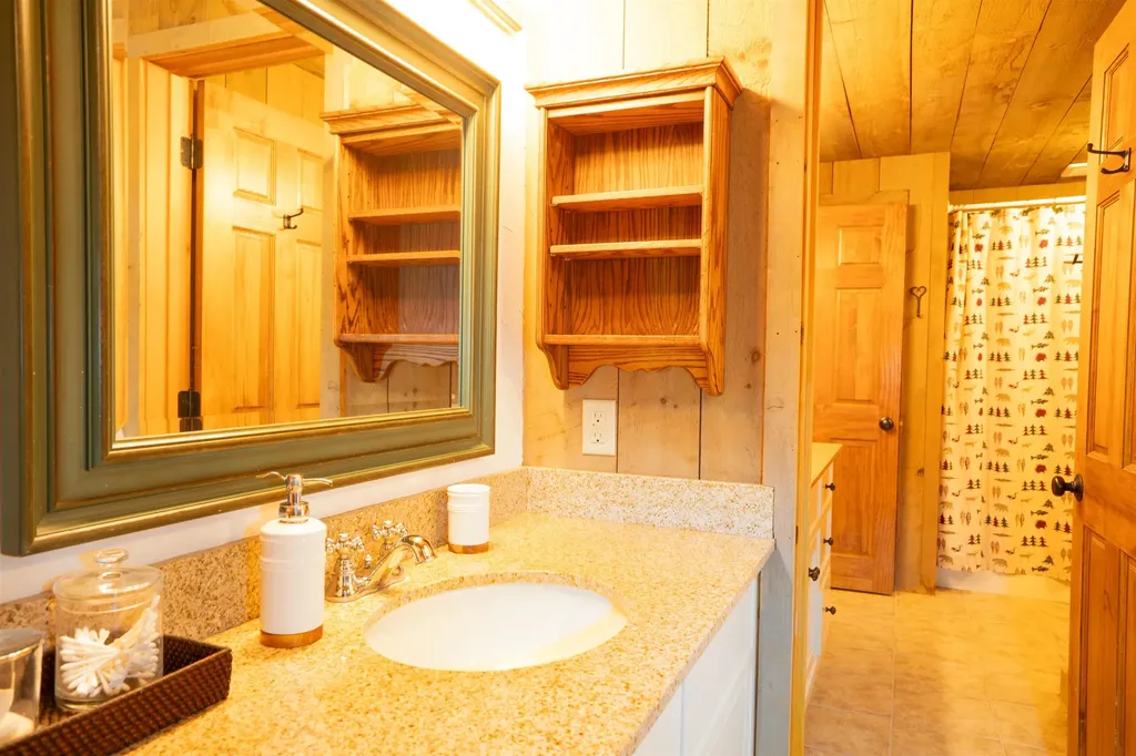 21 Burnt Hill Road Winhall VT 05340