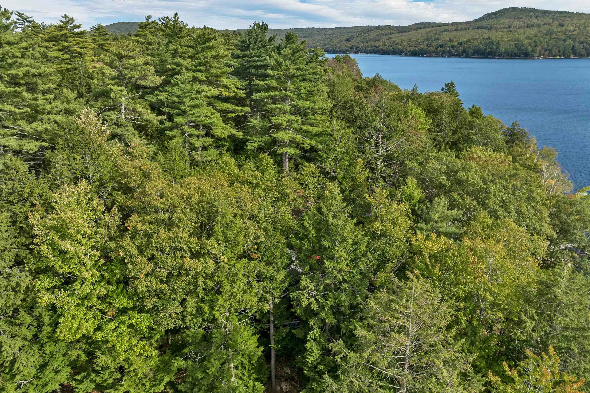 229 North Shore Road New Durham NH 03855