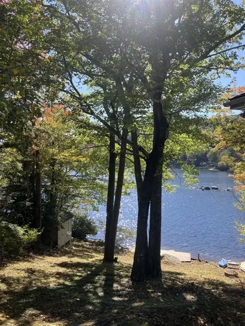229 North Shore Road New Durham NH 03855