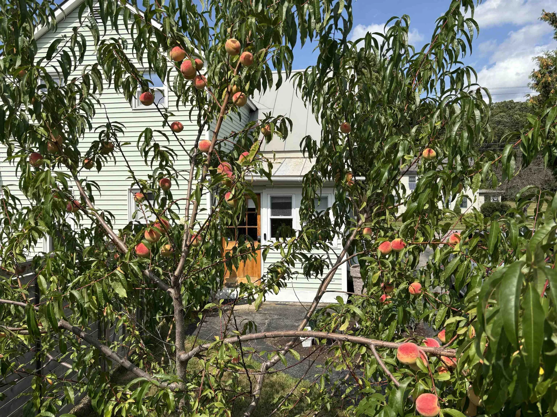 442 East Main Street Middlebury VT 05753