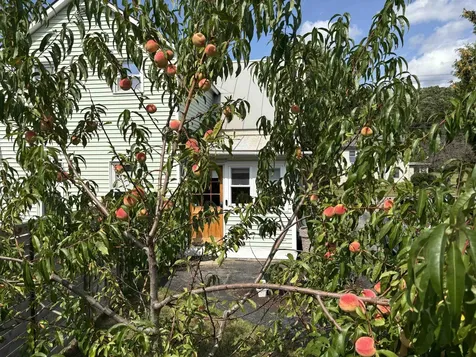 442 East Main Street Middlebury VT 05753