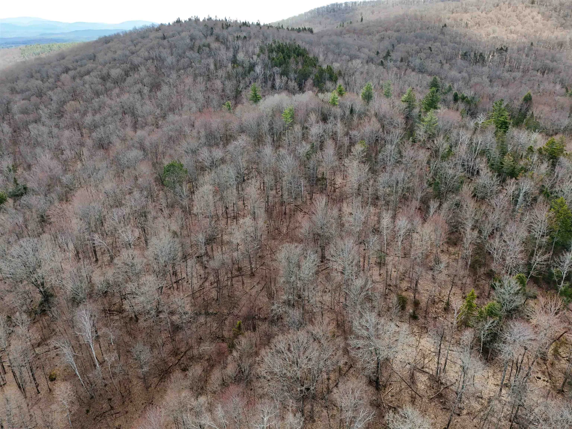 287 Meader Road Ryegate VT 05046