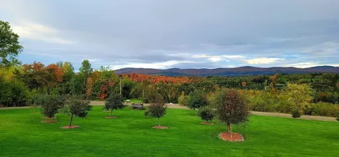 794 Reed Road Colebrook NH 03576