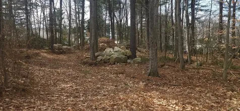 Libbey Street Goffstown NH 03102