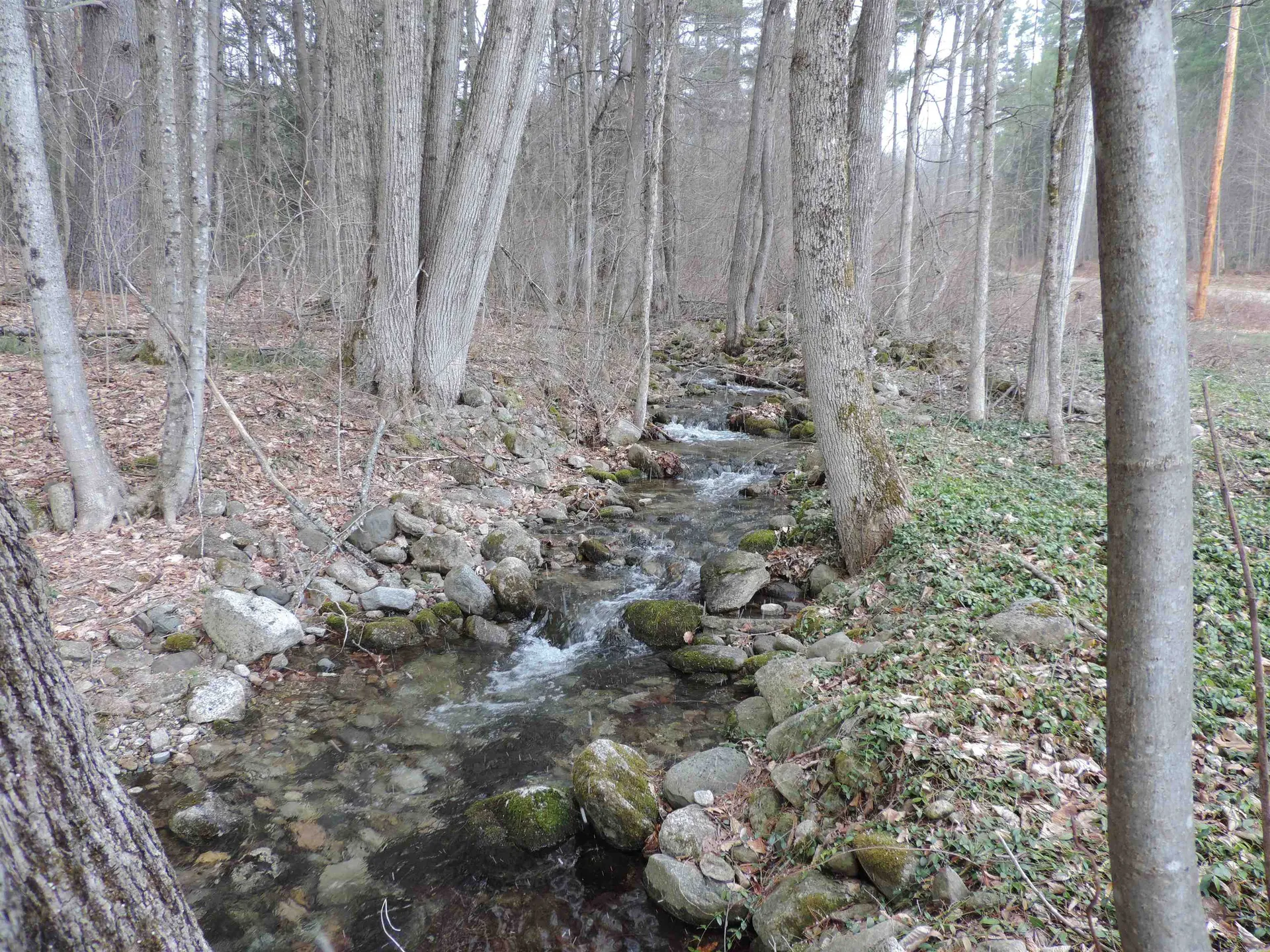 445 Whittier Highway Sandwich NH 03227