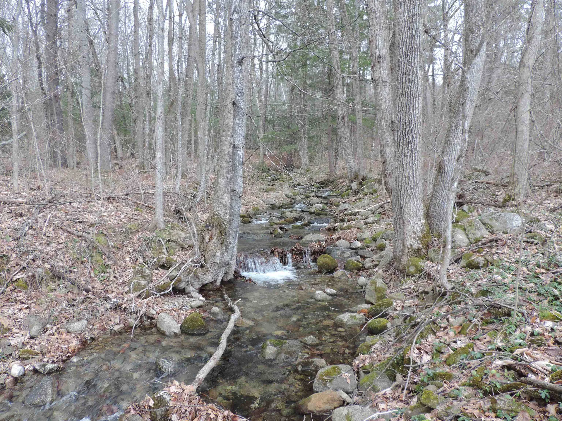 445 Whittier Highway Sandwich NH 03227