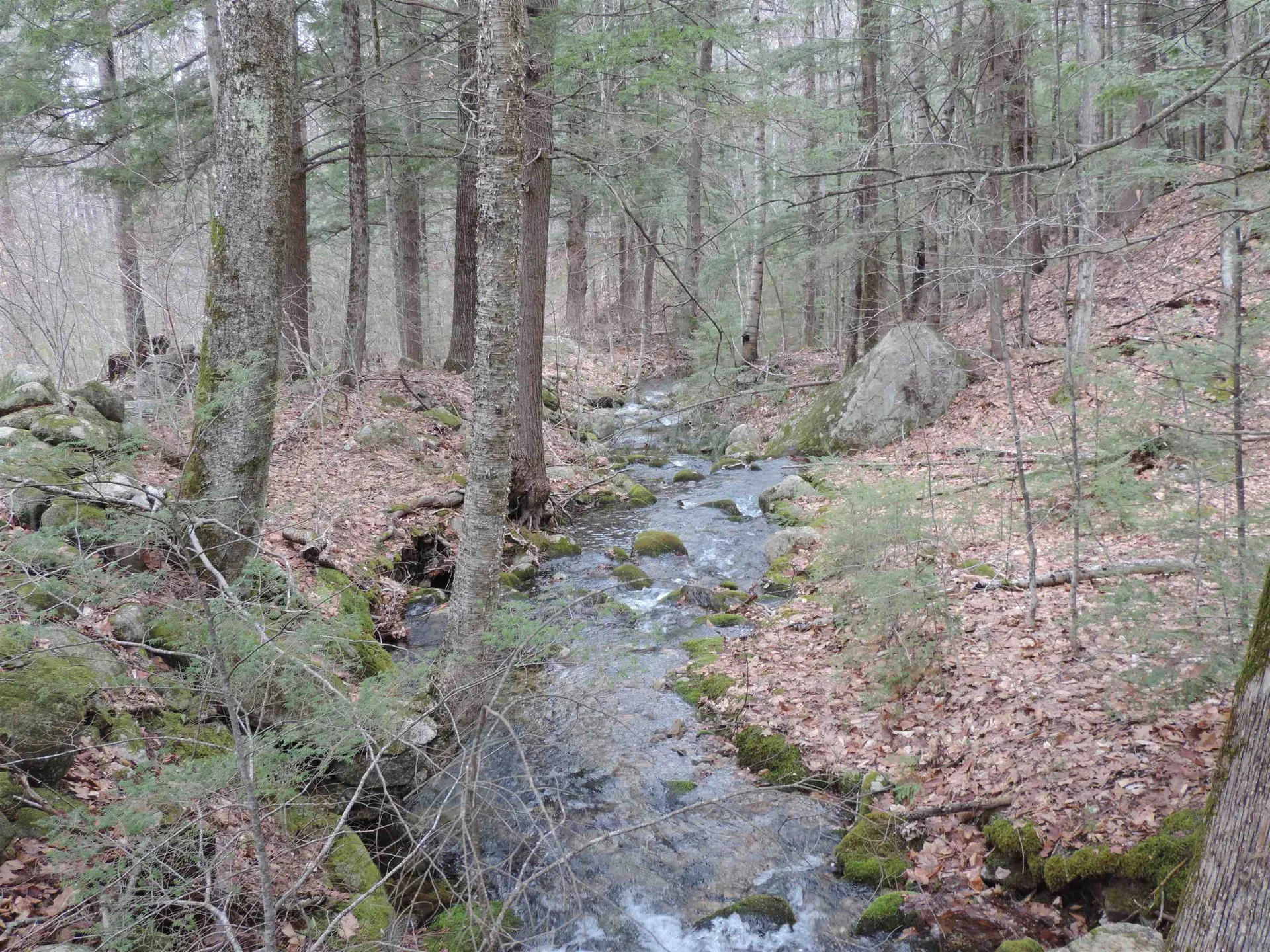 445 Whittier Highway Sandwich NH 03227
