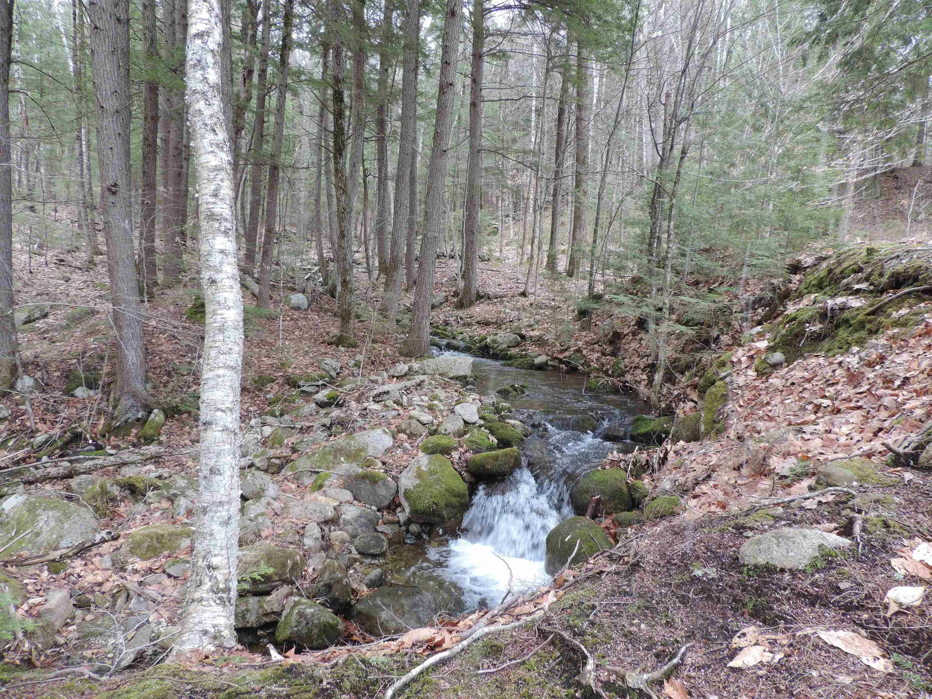 445 Whittier Highway Sandwich NH 03227