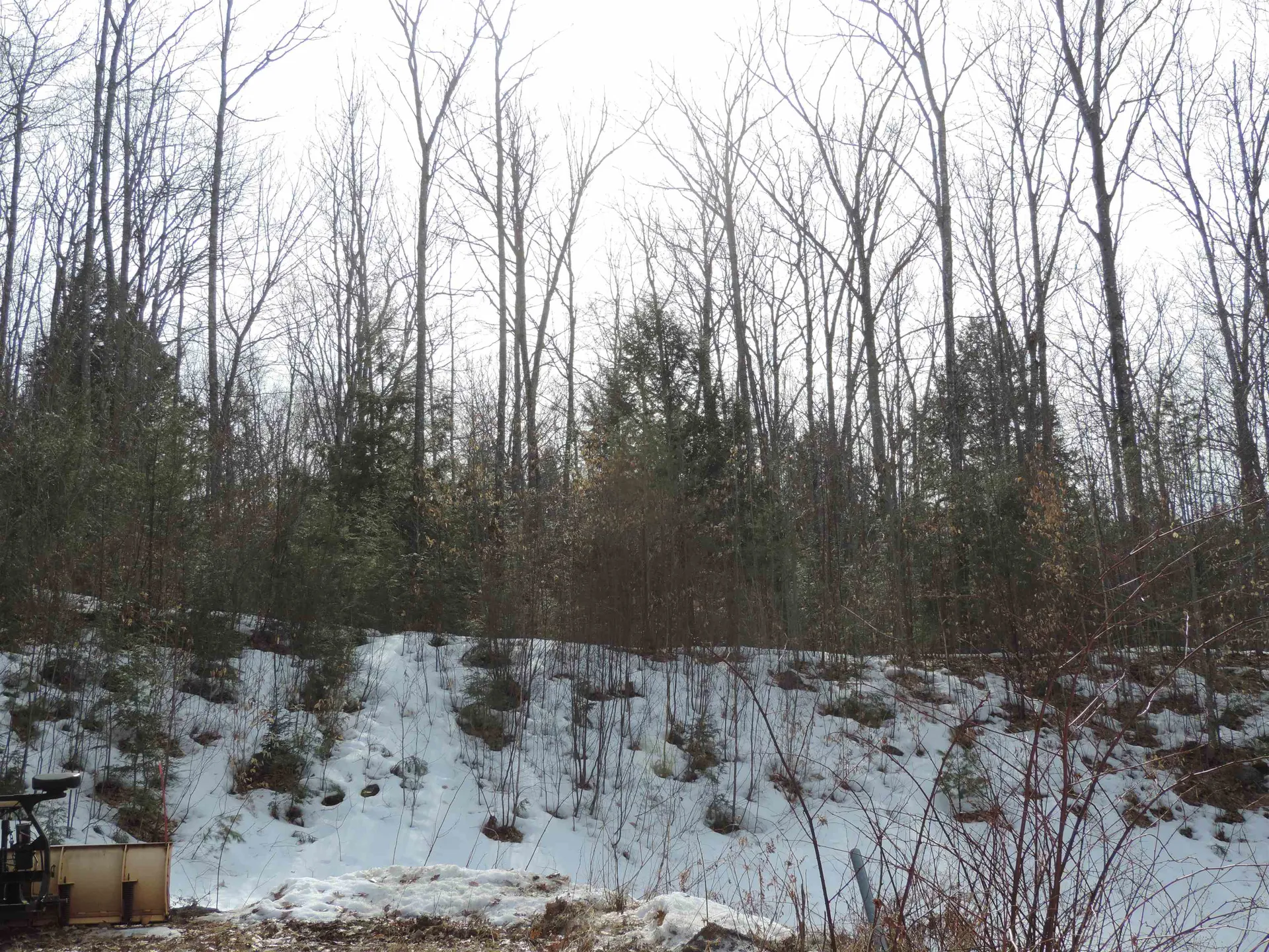 445 Whittier Highway Sandwich NH 03227