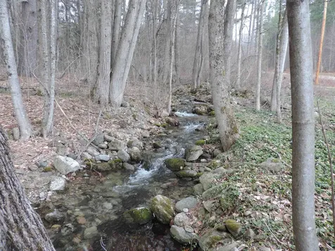445 Whittier Highway Sandwich NH 03227