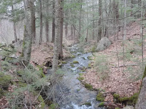 445 Whittier Highway Sandwich NH 03227