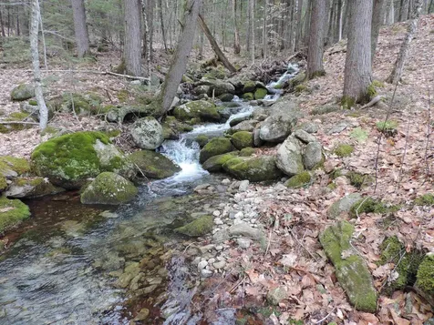 445 Whittier Highway Sandwich NH 03227