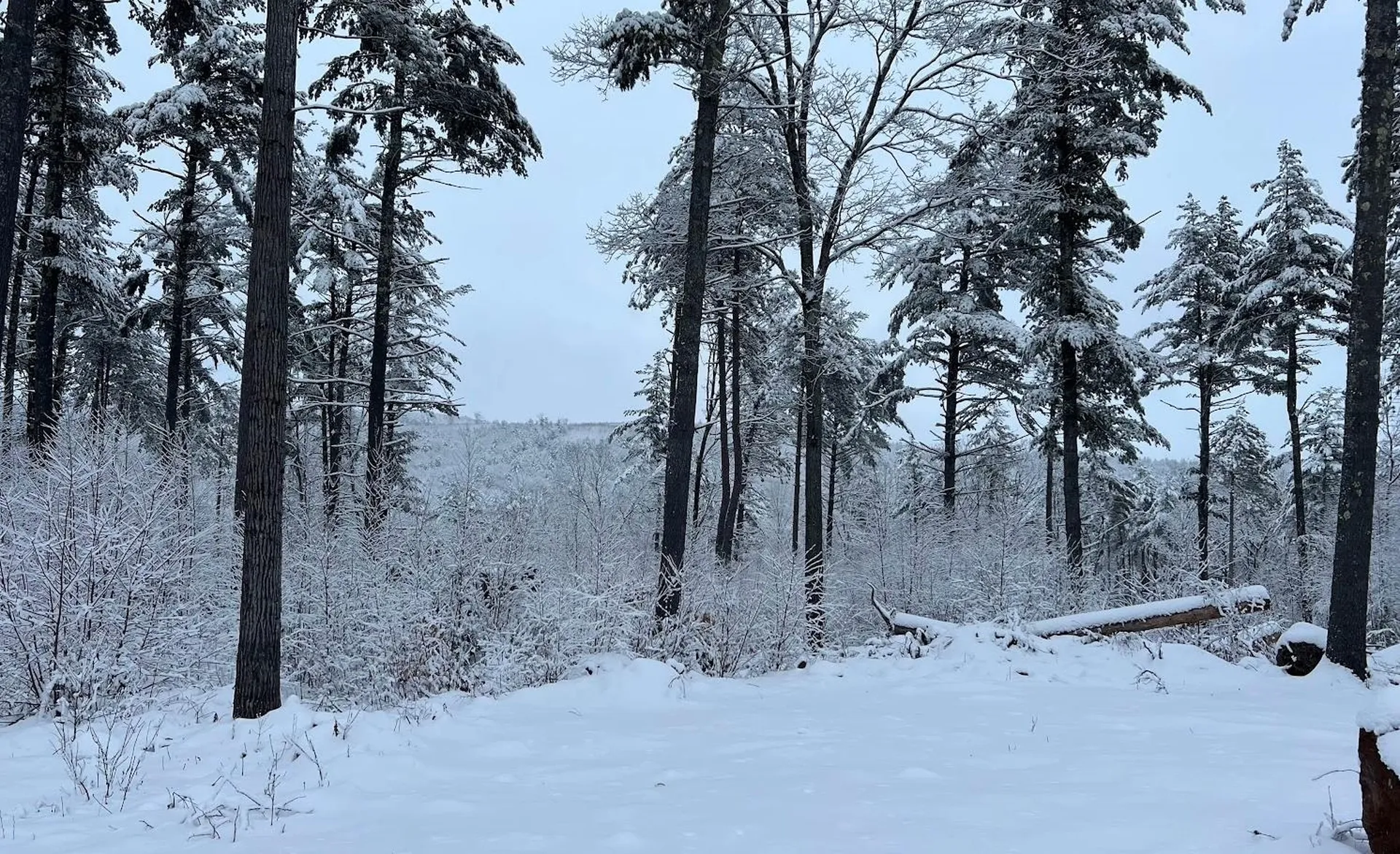 17 Todd Road Francestown NH 03043