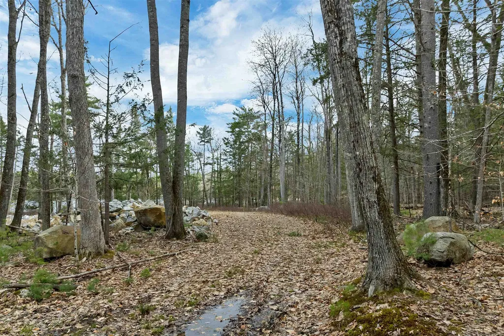 00 Basin Drive Tuftonboro NH 03816