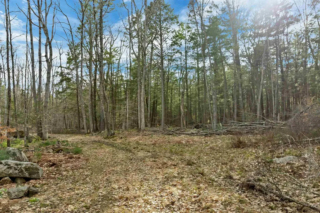 00 Basin Drive Tuftonboro NH 03816