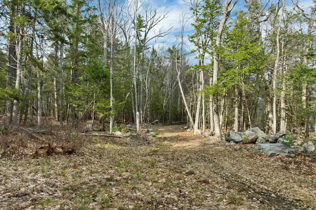 00 Basin Drive Tuftonboro NH 03816