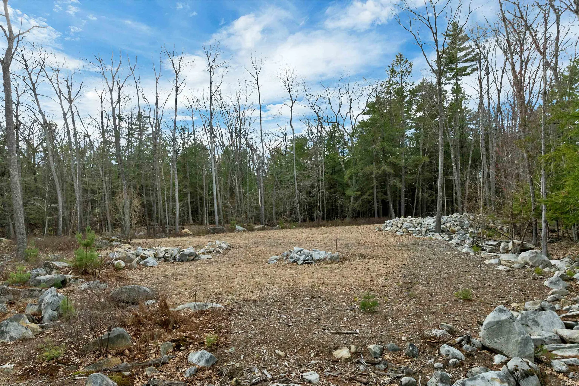 00 Basin Drive Tuftonboro NH 03816