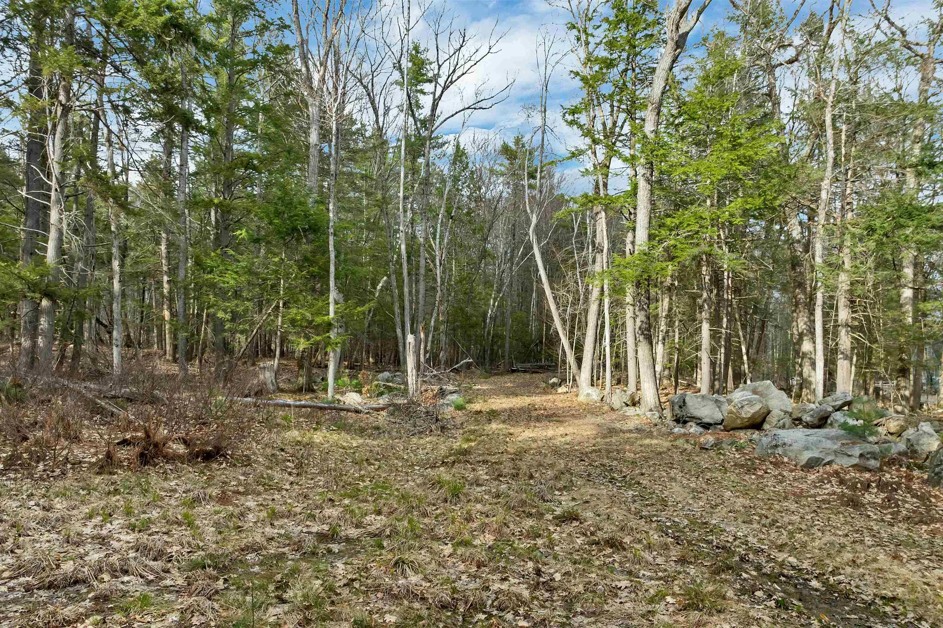 00 Basin Drive Tuftonboro NH 03816