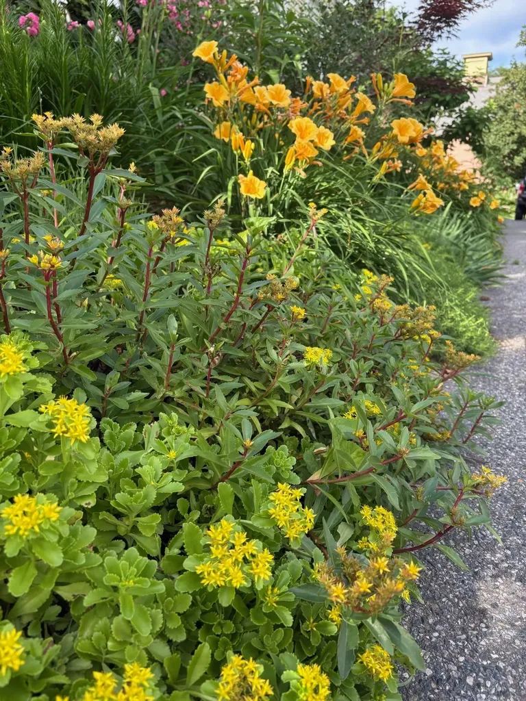 29 Grant Street Keene NH 03431