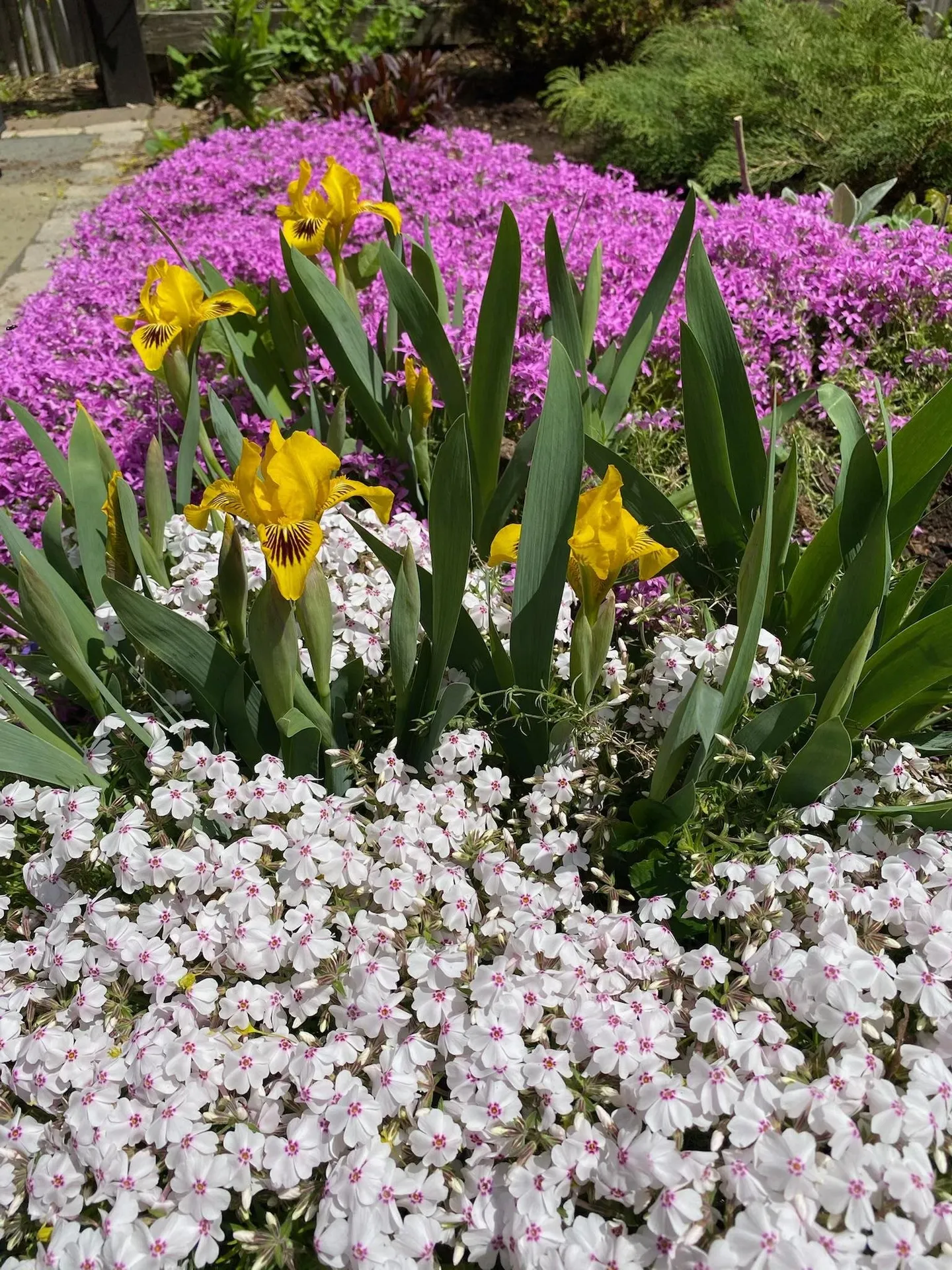 29 Grant Street Keene NH 03431