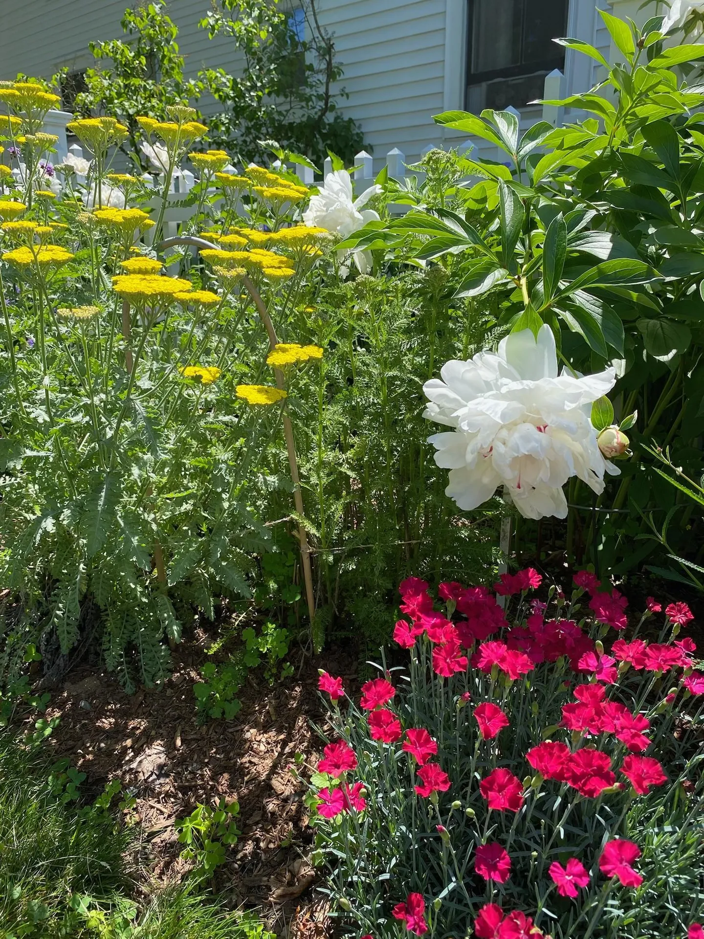 29 Grant Street Keene NH 03431