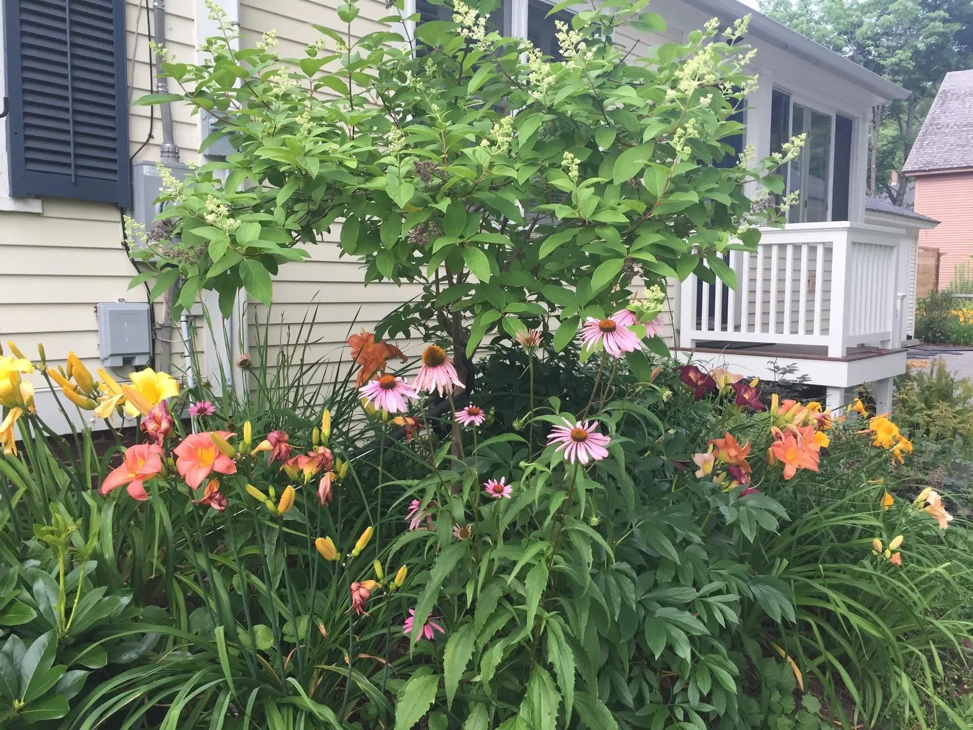 29 Grant Street Keene NH 03431