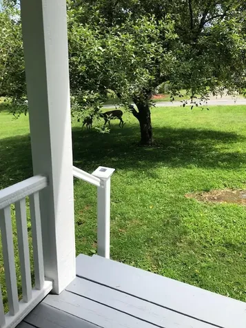 38 Berkley Street Bethlehem NH 03574