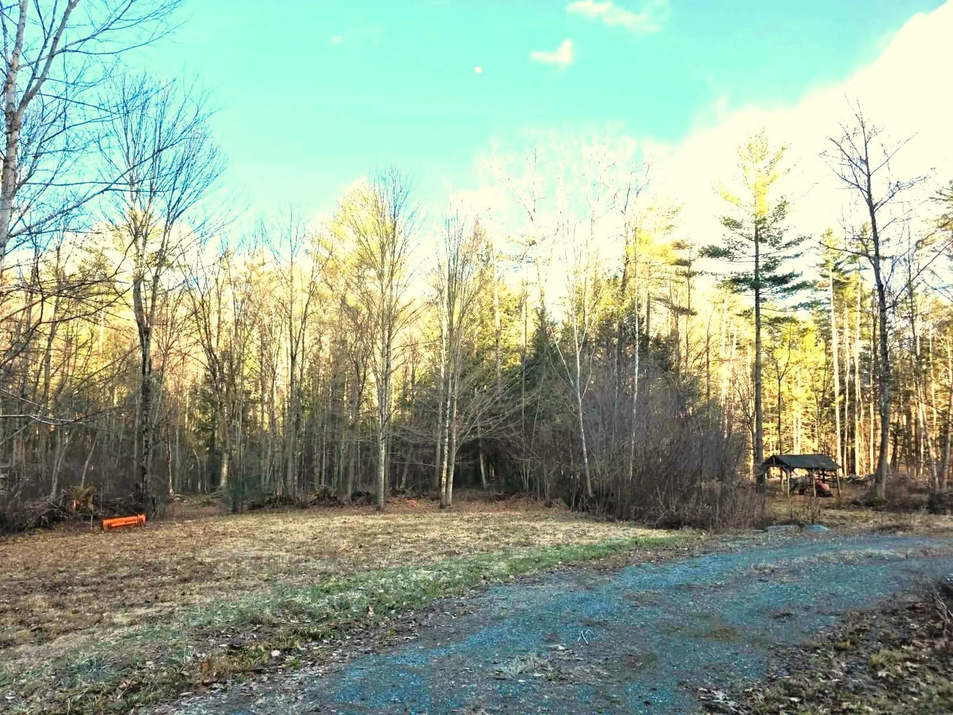 69 Old Haven Lane Putney VT 05346