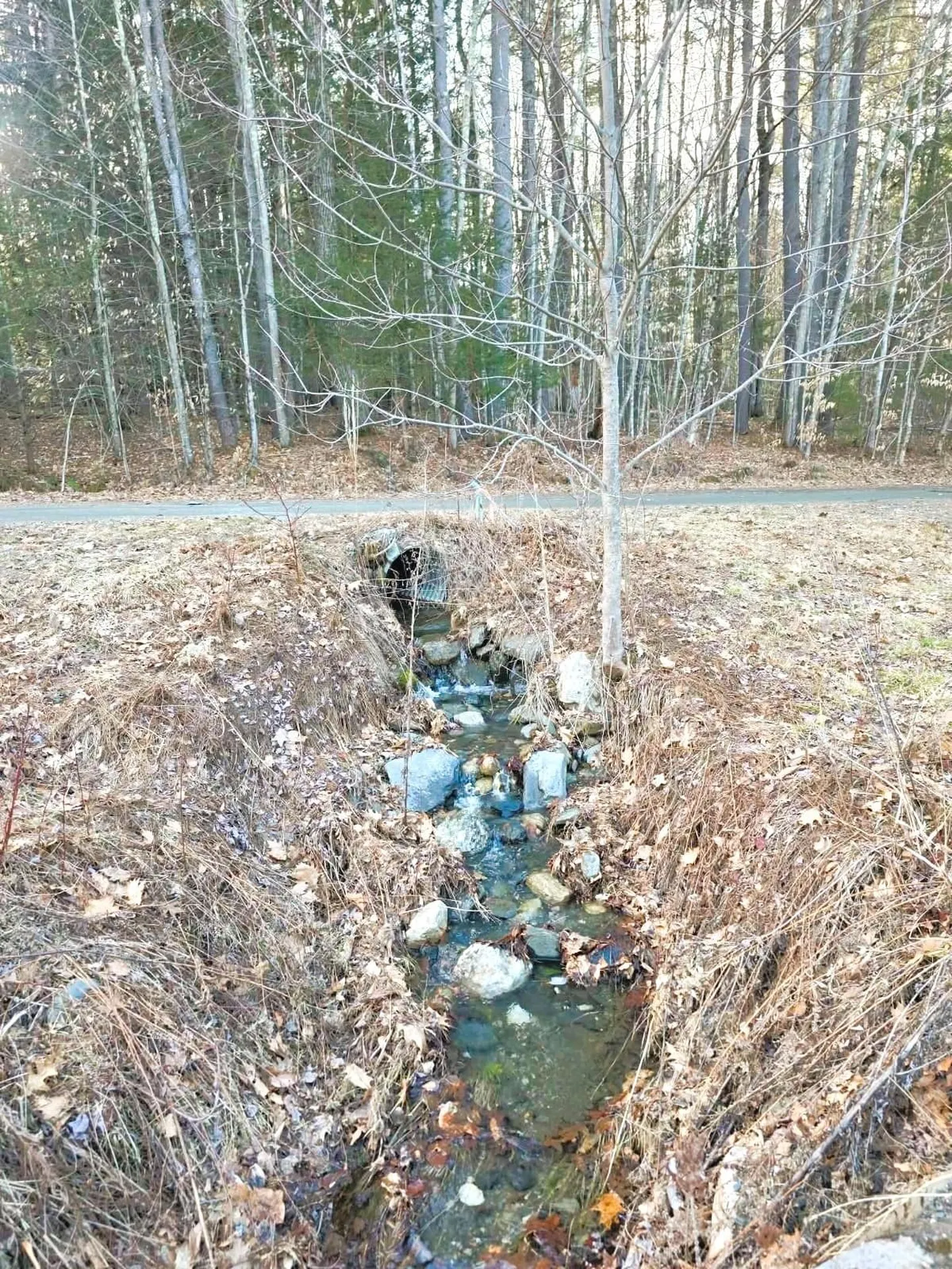 69 Old Haven Lane Putney VT 05346