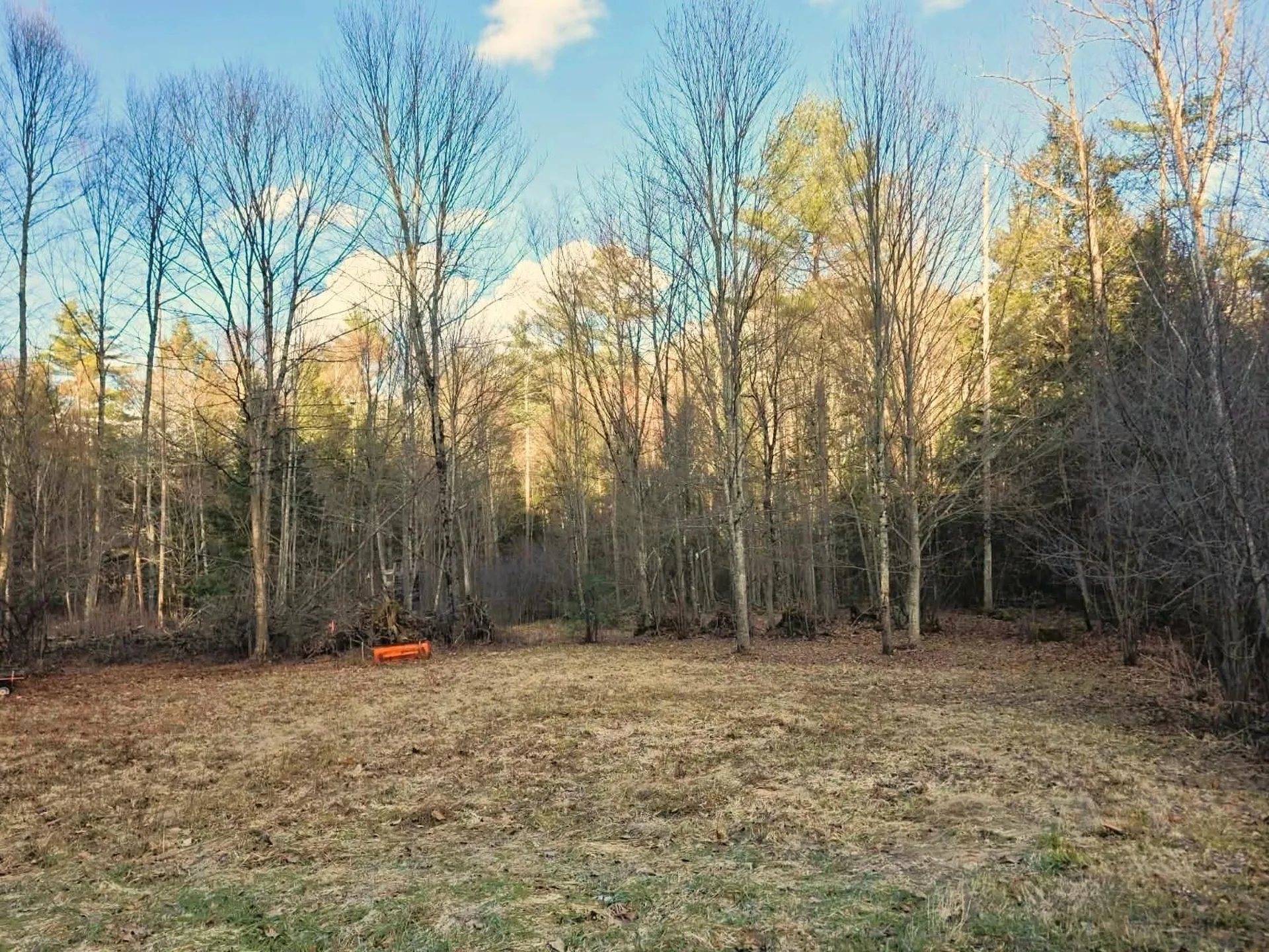 69 Old Haven Lane Putney VT 05346