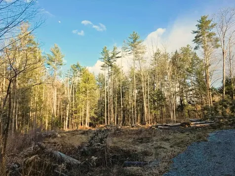 69 Old Haven Lane Putney VT 05346