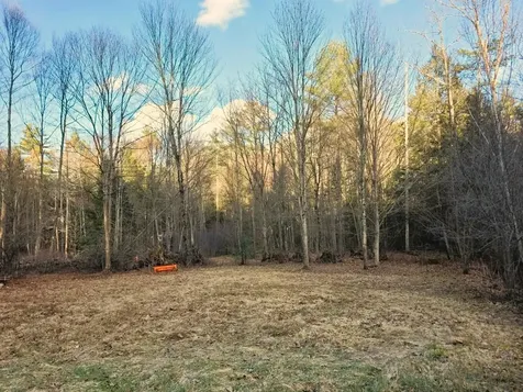 69 Old Haven Lane Putney VT 05346