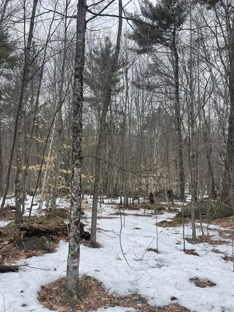 Lot 13-9 E Washington Road Washington NH 03280