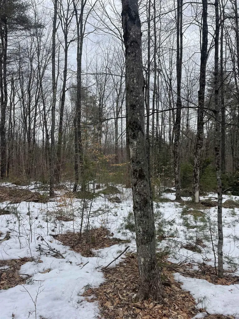 Lot 13-9 E Washington Road Washington NH 03280