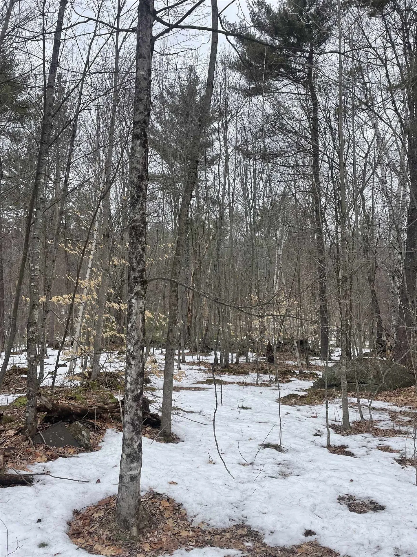 Lot 13-9 E Washington Road Washington NH 03280