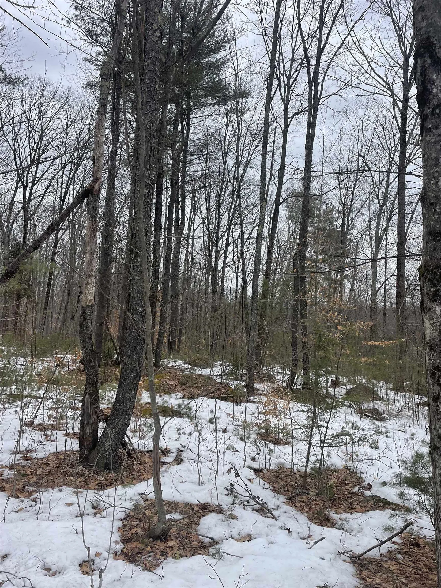Lot 13-9 E Washington Road Washington NH 03280