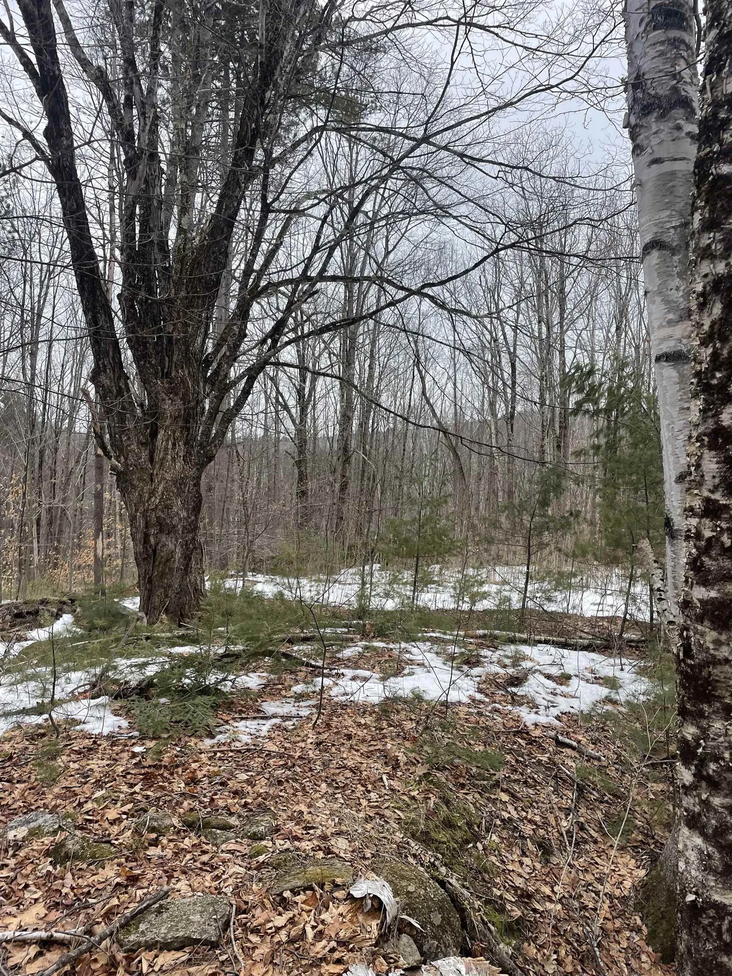 Lot 13-9 E Washington Road Washington NH 03280