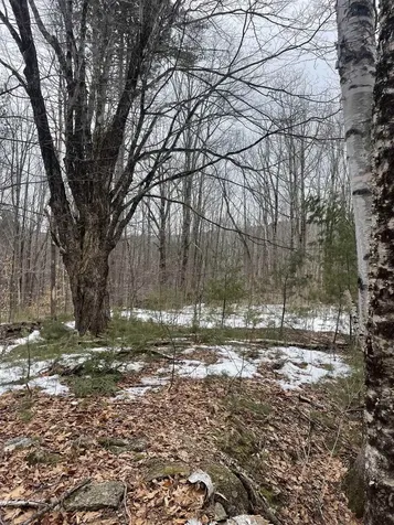 Lot 13-9 E Washington Road Washington NH 03280