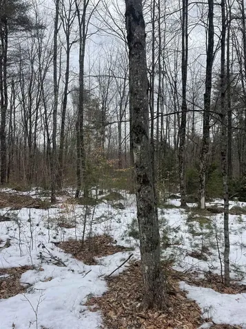 Lot 13-9 E Washington Road Washington NH 03280