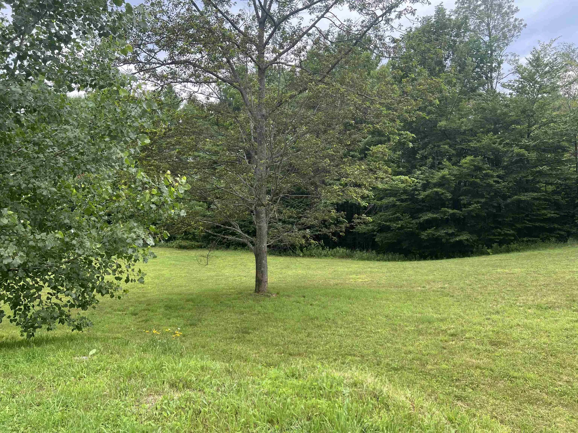 133 Stagecoach Road Norwich VT 05055