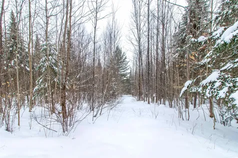 266 Collins Mill Road Troy VT 05859