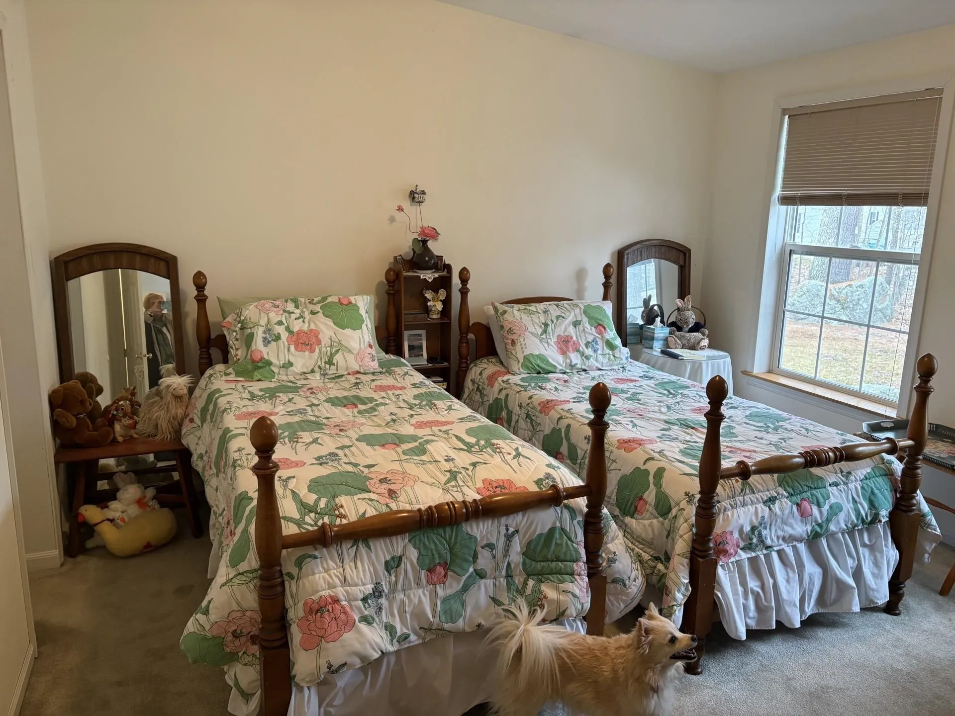 1 Harvey Brook Road Wolfeboro NH 03894