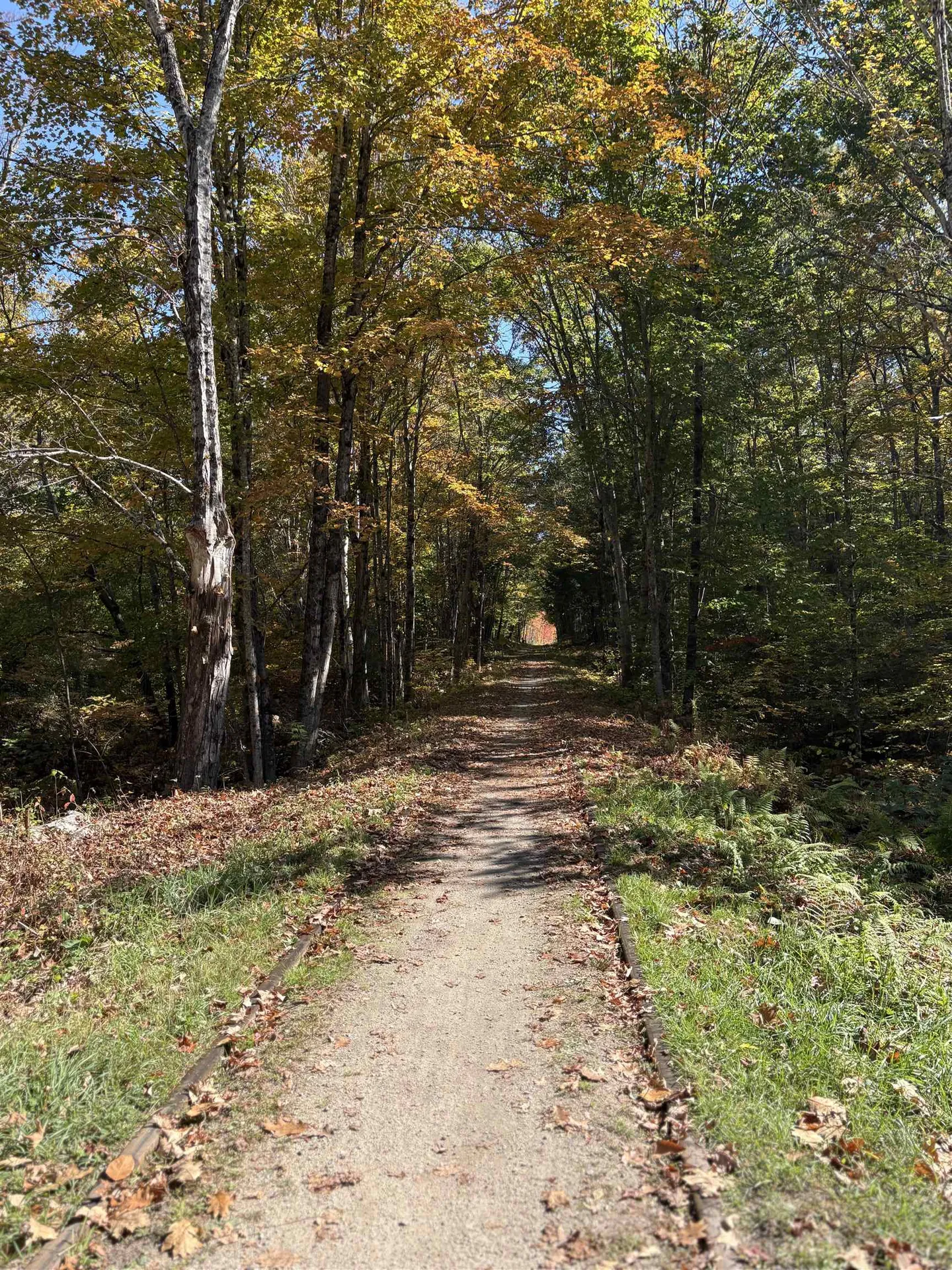 1 Harvey Brook Road Wolfeboro NH 03894