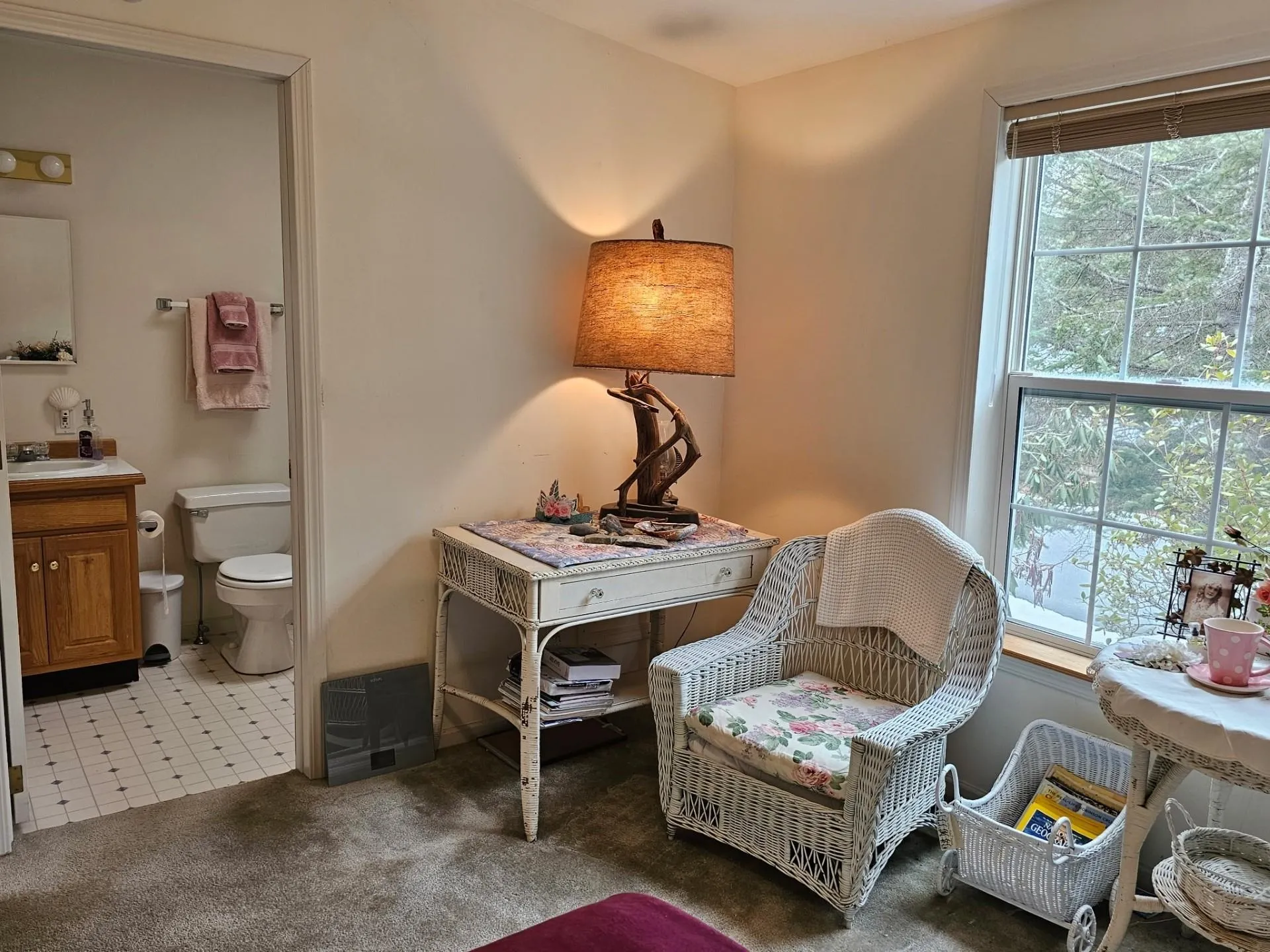 1 Harvey Brook Road Wolfeboro NH 03894